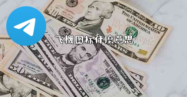 飞機图标什麼意思