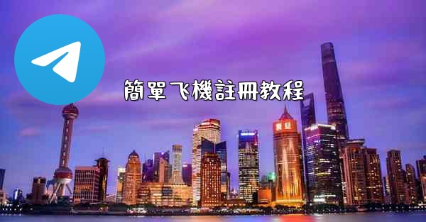 <b>簡單飞機註冊教程</b>