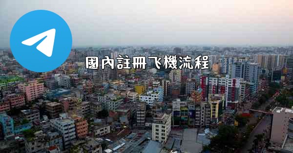 國內註冊飞機流程