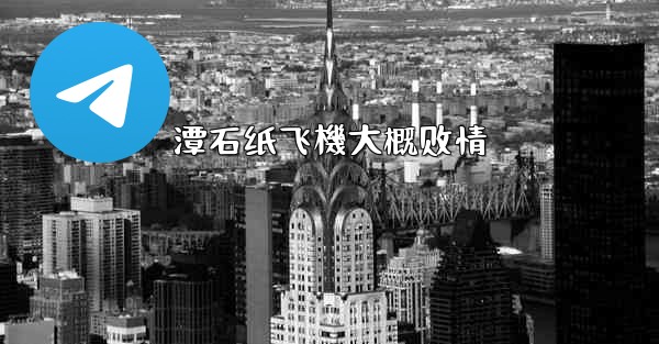 潭石纸飞機大概剧情