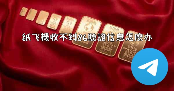 纸飞機收不到86驗證信息怎麼办