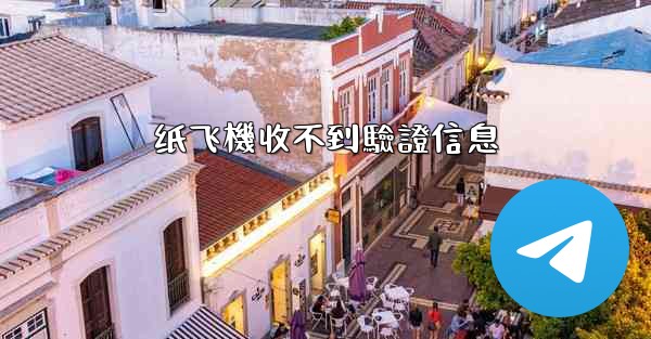 纸飞機收不到驗證信息
