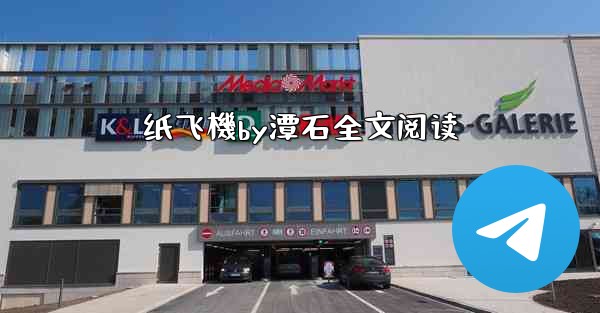 纸飞機by潭石全文阅读
