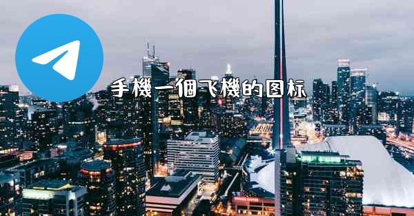 手機一個飞機的图标