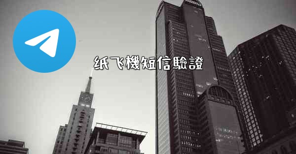 纸飞機短信驗證