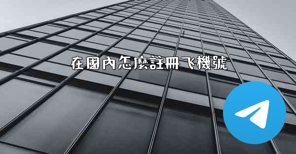 在國內怎麼註冊飞機號