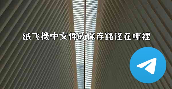 <b>纸飞機中文件的保存路径在哪裡</b>