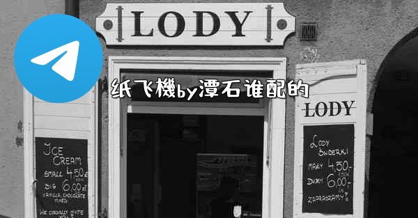 纸飞機by潭石谁配的