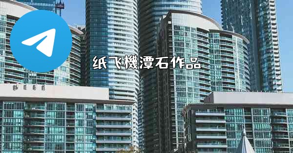 纸飞機潭石作品