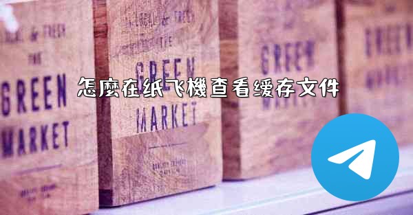 怎麼在纸飞機查看缓存文件