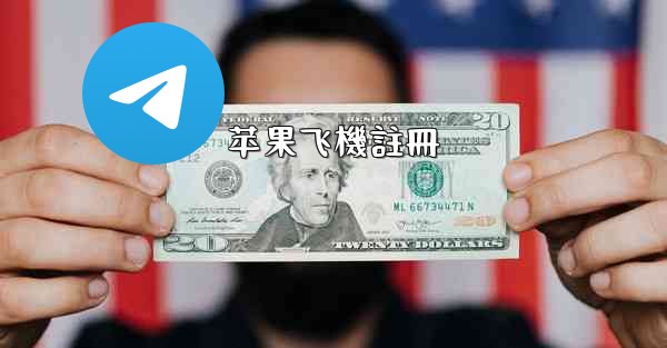 苹果飞機註冊