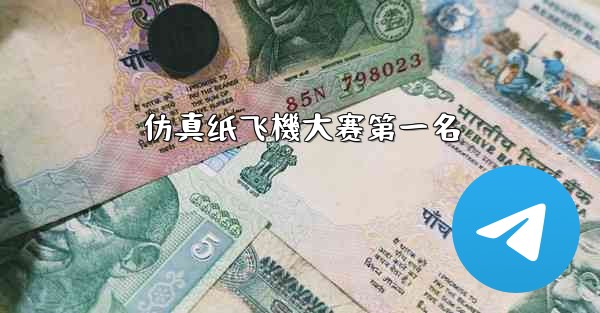 仿真纸飞機大赛第一名