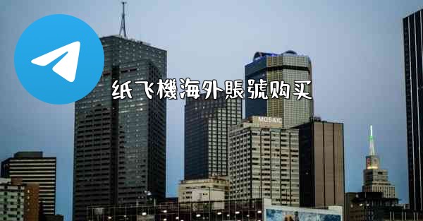 纸飞機海外賬號购买