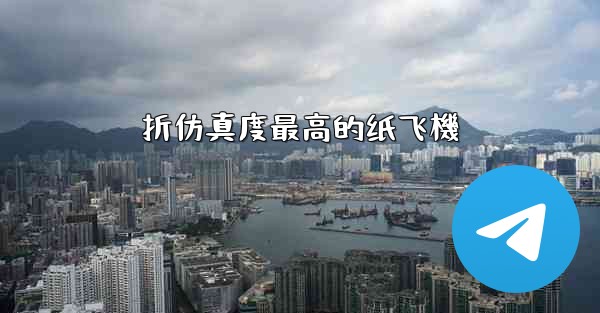 <b>折仿真度最高的纸飞機</b>