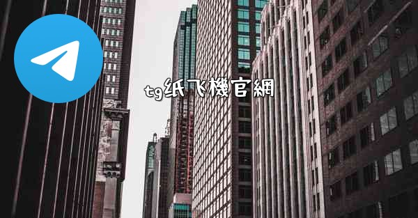 tg纸飞機官網