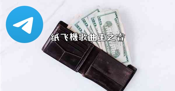 纸飞機歌曲王之睿