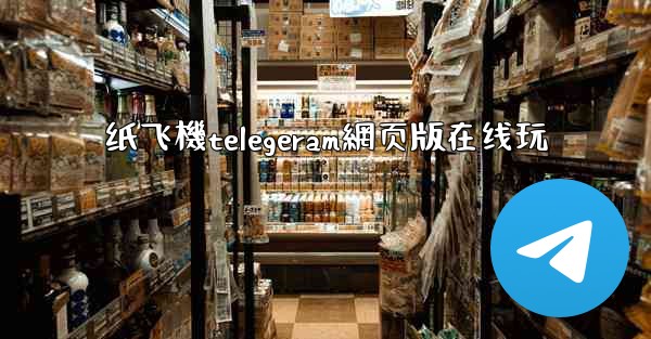 纸飞機telegeram網页版在线玩