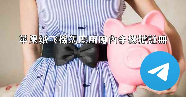 苹果纸飞機怎麼用國內手機號註冊