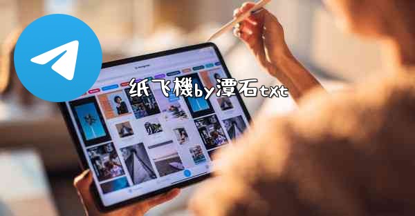 纸飞機by潭石txt