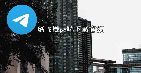 纸飞機pc端下載官網