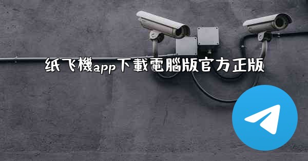 纸飞機app下載電腦版官方正版
