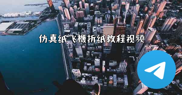 <b>仿真纸飞機折纸教程视频</b>