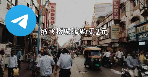 纸飞機賬號购买2元