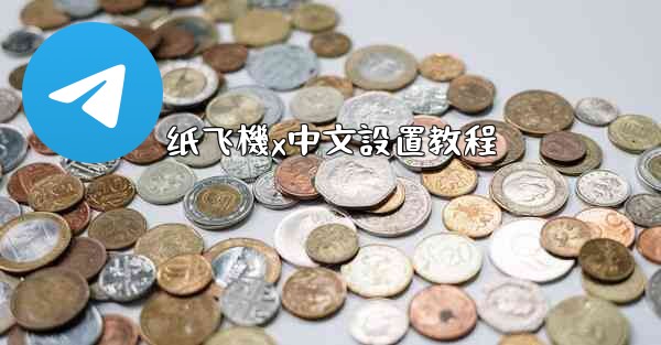 纸飞機x中文設置教程