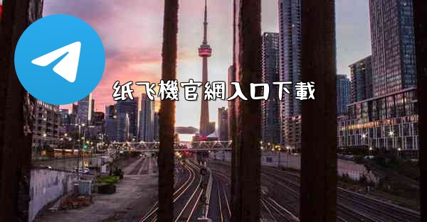 纸飞機官網入口下載