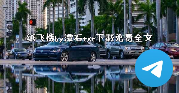 纸飞機by潭石txt下載免费全文