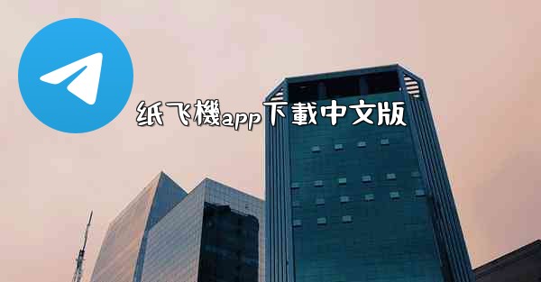 纸飞機app下載中文版