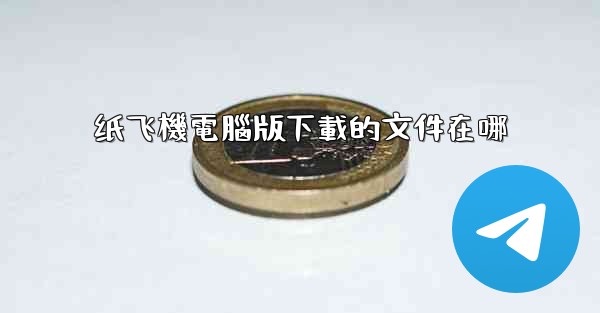 纸飞機電腦版下載的文件在哪