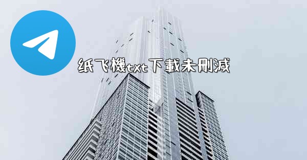 纸飞機txt下載未刪減