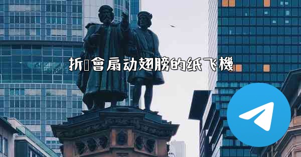 折叠會扇动翅膀的纸飞機