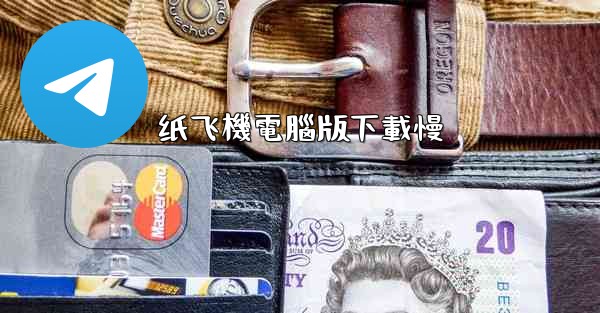 <b>纸飞機電腦版下載慢</b>