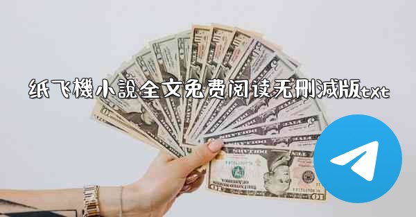 纸飞機小說全文免费阅读无刪減版txt