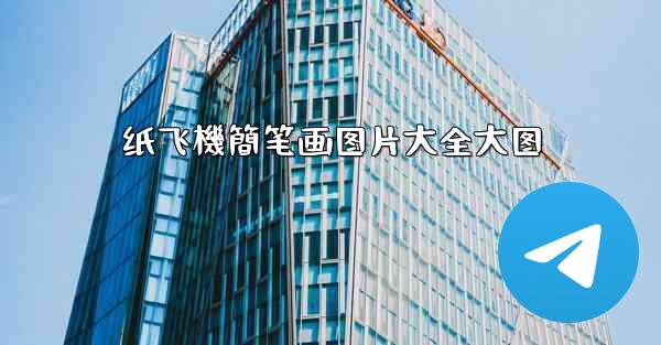 纸飞機簡笔画图片大全大图