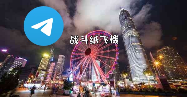 <b>战斗纸飞機</b>