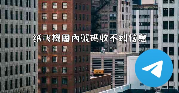 纸飞機國內號碼收不到信息