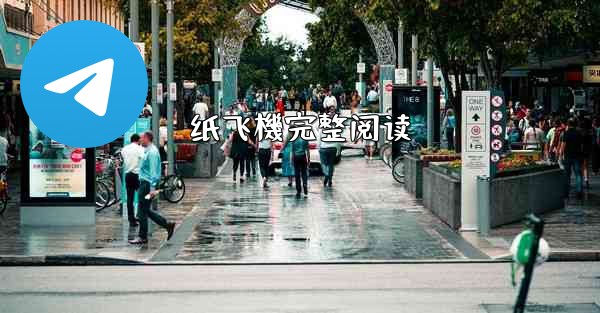 纸飞機完整阅读