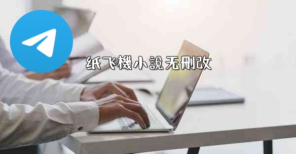 纸飞機小說无刪改