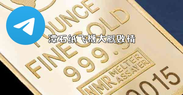 潭石纸飞機大概剧情