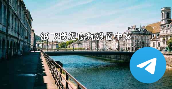 纸飞機怎麼玩設置中文
