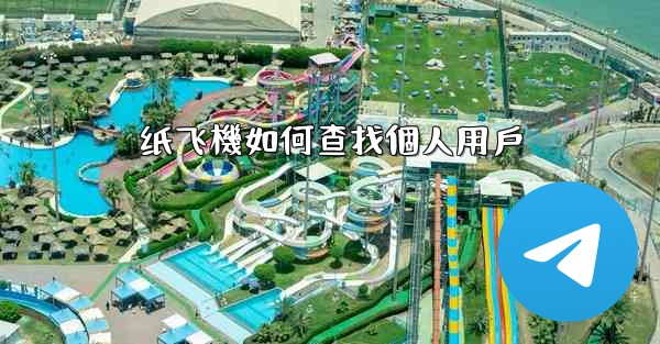 纸飞機如何查找個人用戶