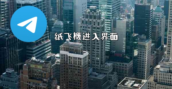 纸飞機进入界面