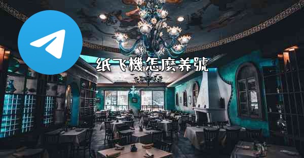 纸飞機怎麼养號