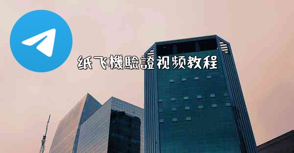 纸飞機驗證视频教程