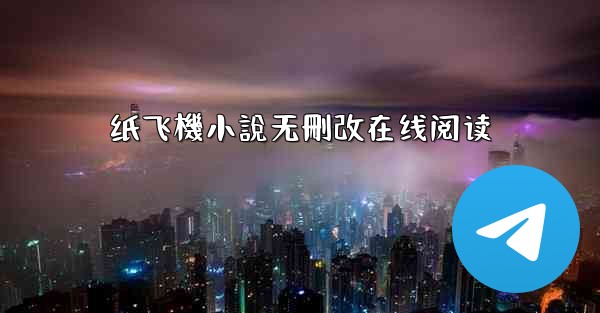 纸飞機小說无刪改在线阅读