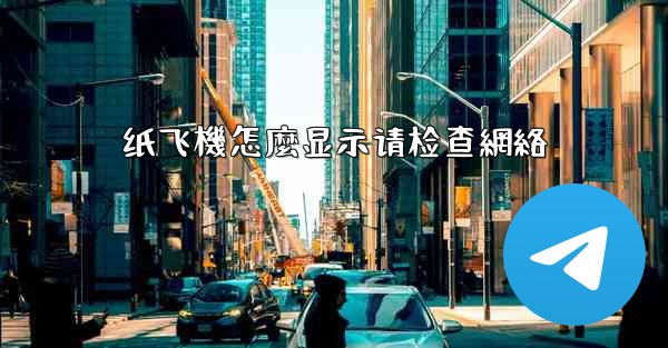 纸飞機怎麼显示请检查網絡