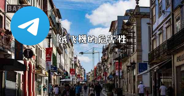 <b>纸飞機的危害性</b>